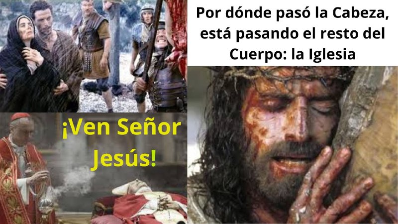 Como leemos en la biblia en …