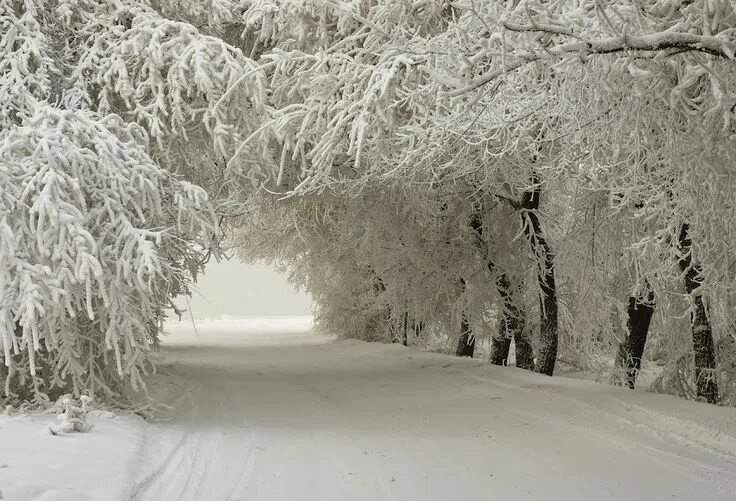 **Қиш фасли муборак! ***🌧******❄️******☃️*****