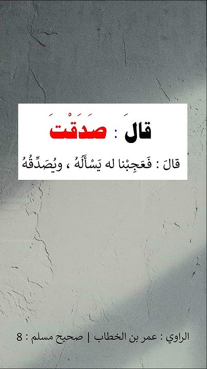 🌸السلفية سفينة نجاة 🌸