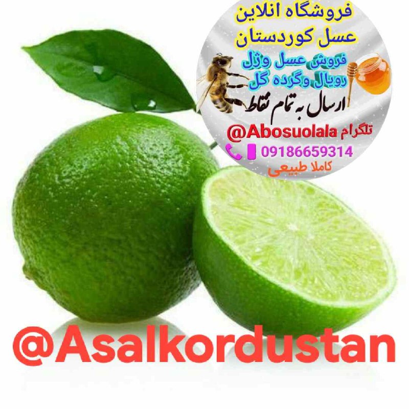 **لیموترش؛سدی در برابرریزش موی شما*****?***