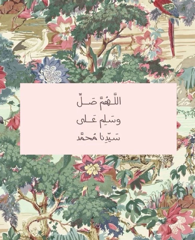 اقتباسات وقهوة 🤍