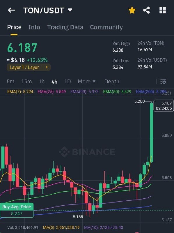 Crazy rise of TON coin after …