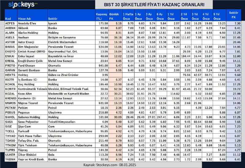 BIST 30 ŞİRKETLERİ FİYAT/ KAZANÇ ORANLARI