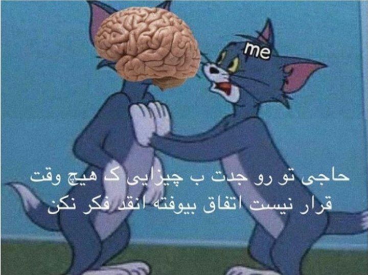 من هر شب خطاب به مغزم: