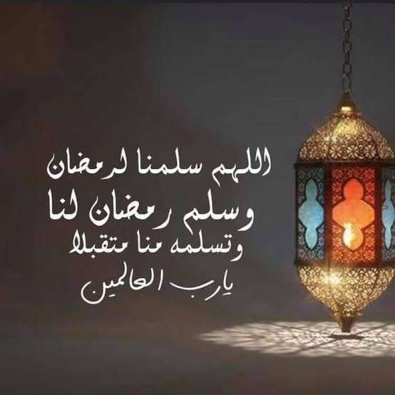 الطريقُ إلى الحياة الحقيقية 🌸