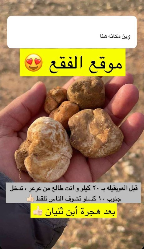 عشاق البر والكشتات