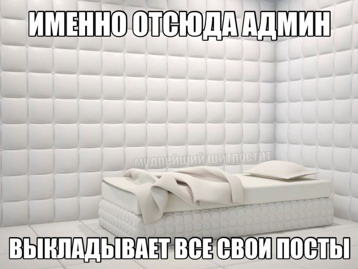 ***🌟******🌟******🌟******🌟******🌟******🌟******🌟******🌟***