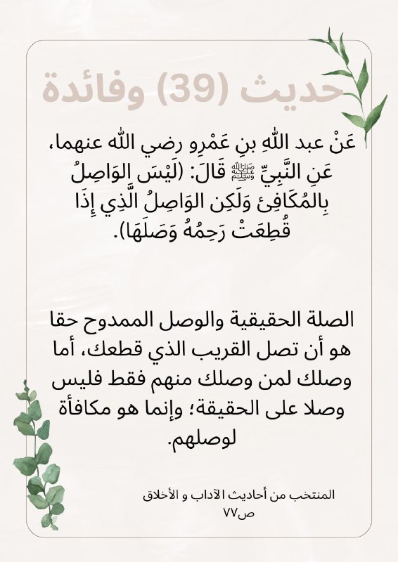 قناة أشبال وشباب الإسلام