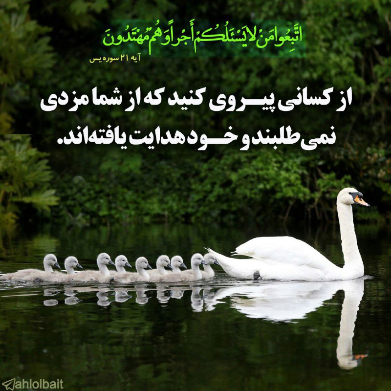 [‌](https://t.me/zekrm/448)‏***🏙*** اذان صبح ***🏙***