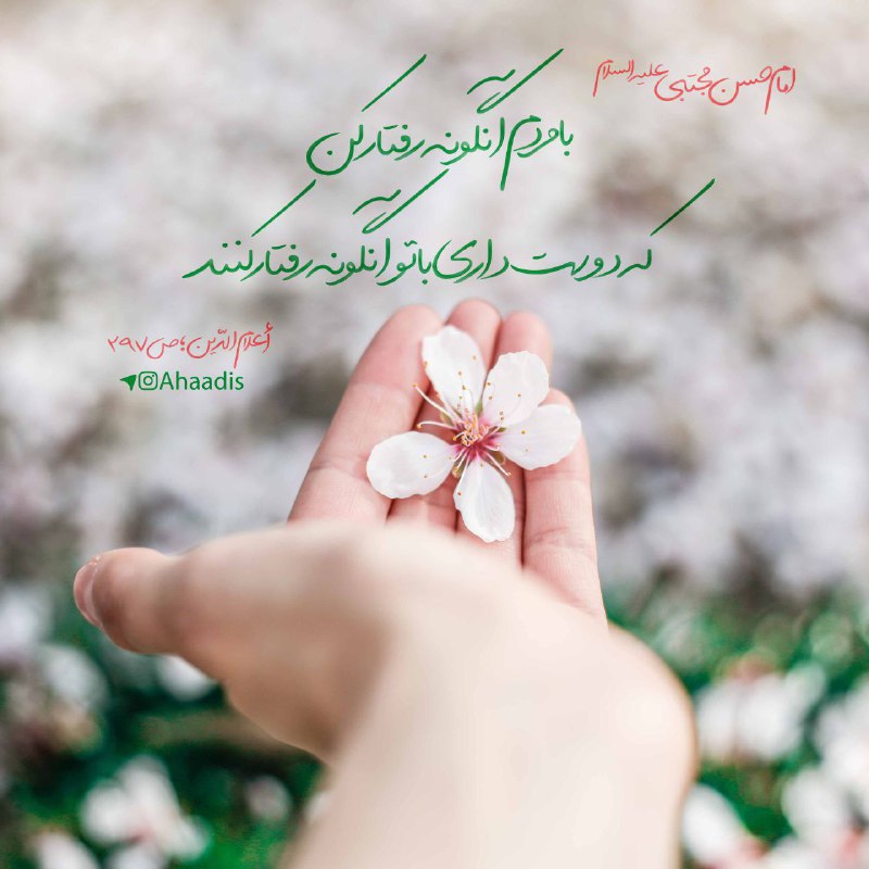 [‌](https://t.me/zekrm/423)‏***☀️*** اذان ظهر ***☀️***