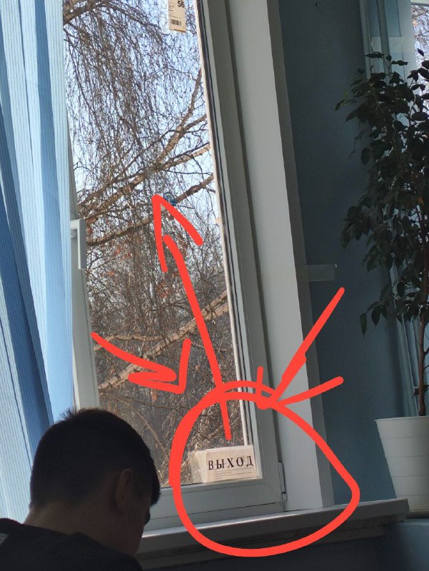 ..но никто не пришел