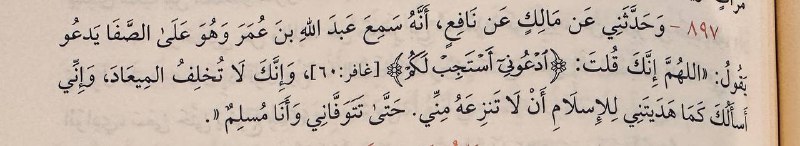 نورٌ