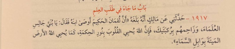 نورٌ