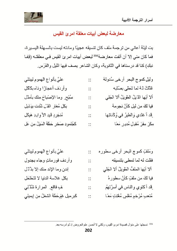 Ashraf Amer TPE