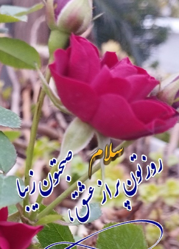 ‌
