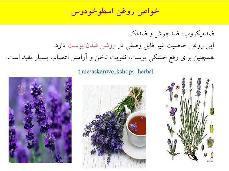 جهت سفارش به ادمین پیام دهید.