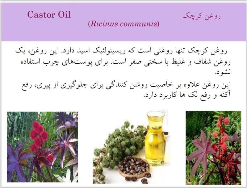 خواص مفید روغن کرچک برای پوست