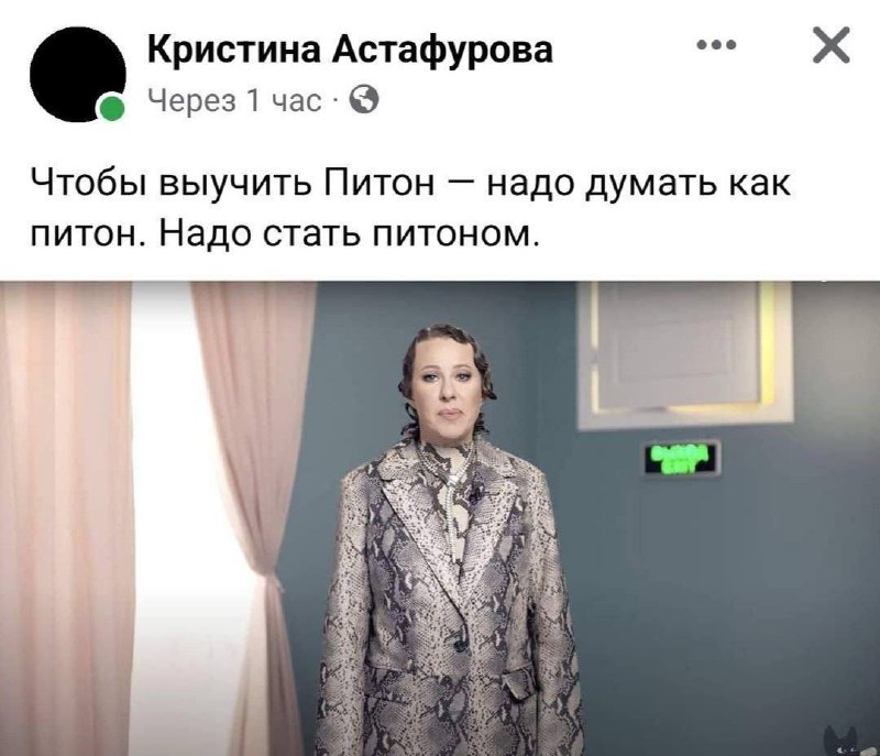 ...теба влізти всередину пітона.