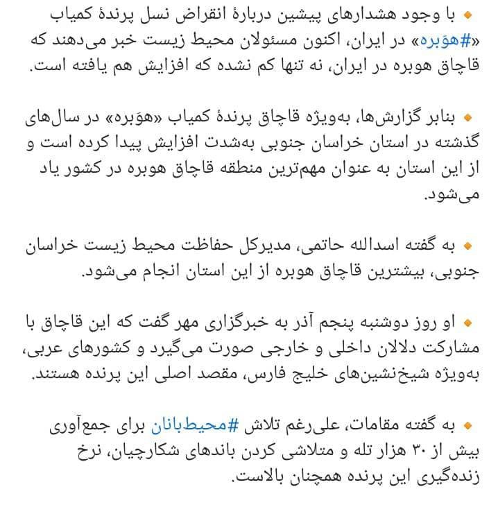 ‏عکس از رامین محمدیان ، گیلان