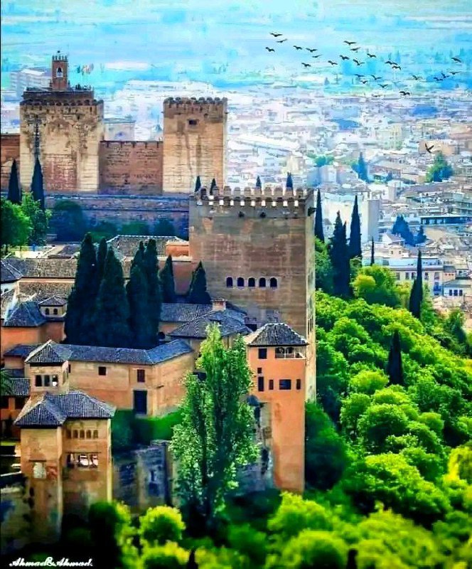 مؤسس الدولة الأموية في المغرب ( …