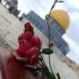 مقاطع قراءن والهدايا إلى الله