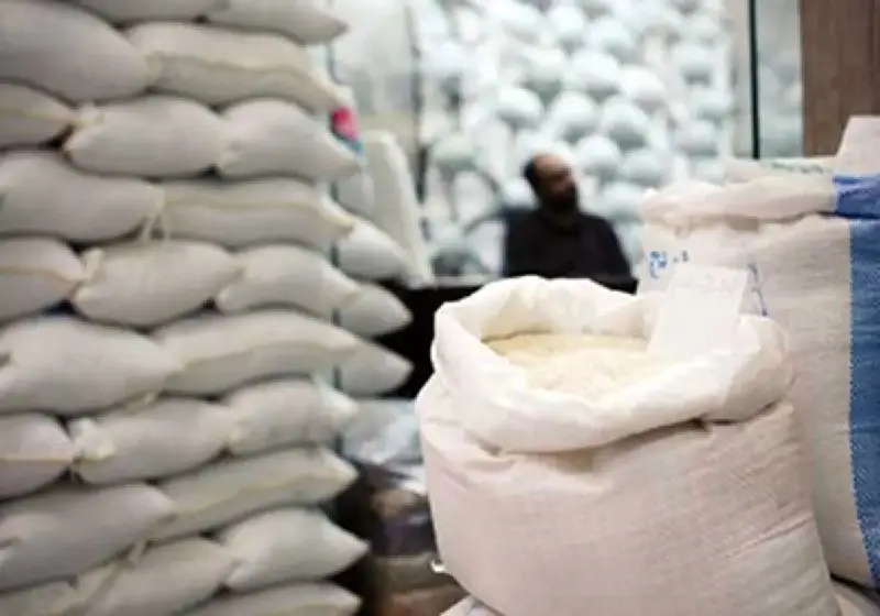 **افزایش قیمت برنج ایرانی/ نقش یک …