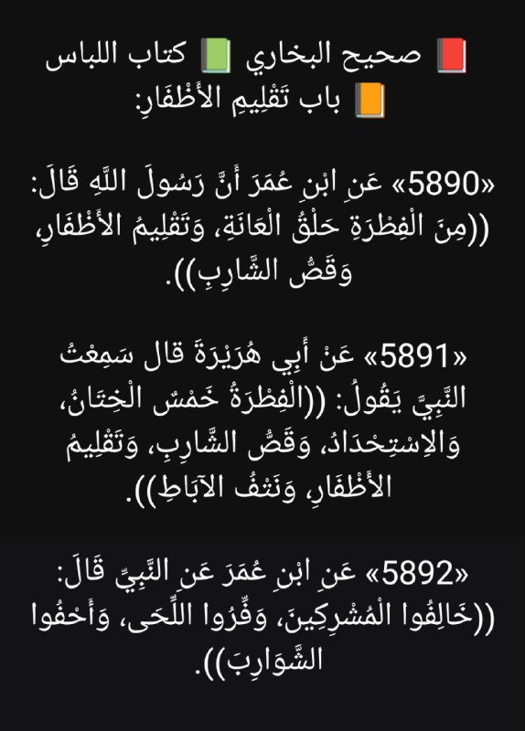 الفقه السلفي