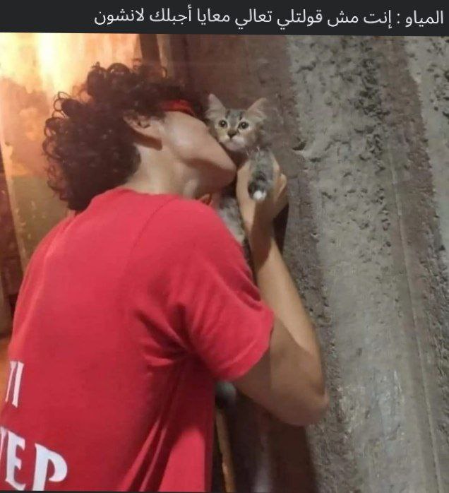 الواد ده من الشرئيه تحرش في …