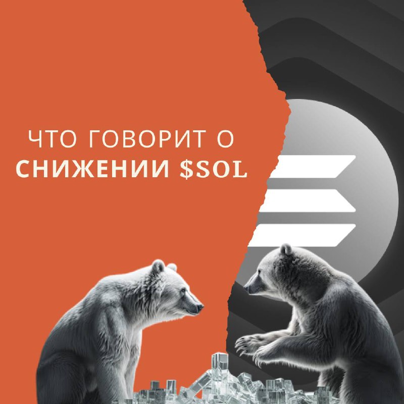 **SOL под давлением медведей** ***🐻***