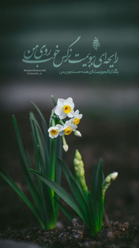 [#آستانه\_حضرت\_امام\_صادق\_علیه\_السلام](?q=%23%D8%A2%D8%B3%D8%AA%D8%A7%D9%86%D9%87_%D8%AD%D8%B6%D8%B1%D8%AA_%D8%A7%D9%85%D8%A7%D9%85_%D8%B5%D8%A7%D8%AF%D9%82_%D8%B9%D9%84%DB%8C%D9%87_%D8%A7%D9%84%D8%B3%D9%84%D8%A7%D9%85)