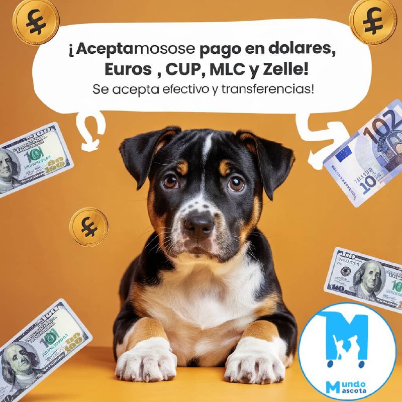 EN MUNDO MASCOTA HABANA ***🐶*** ***🐱*** …