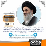 الاستفتاءات الشرعية