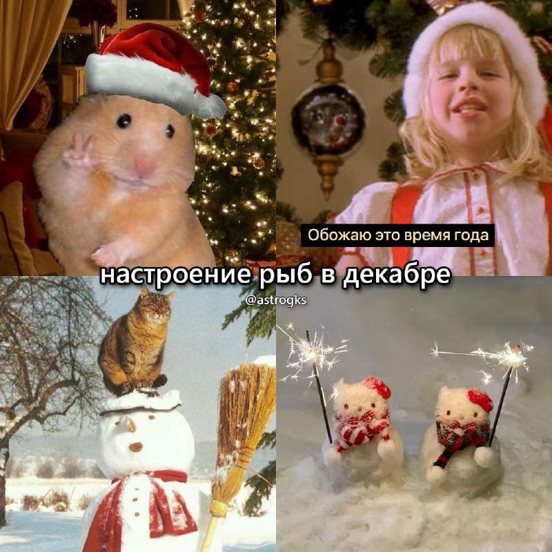 Настроение знаков в декабре***🎄***