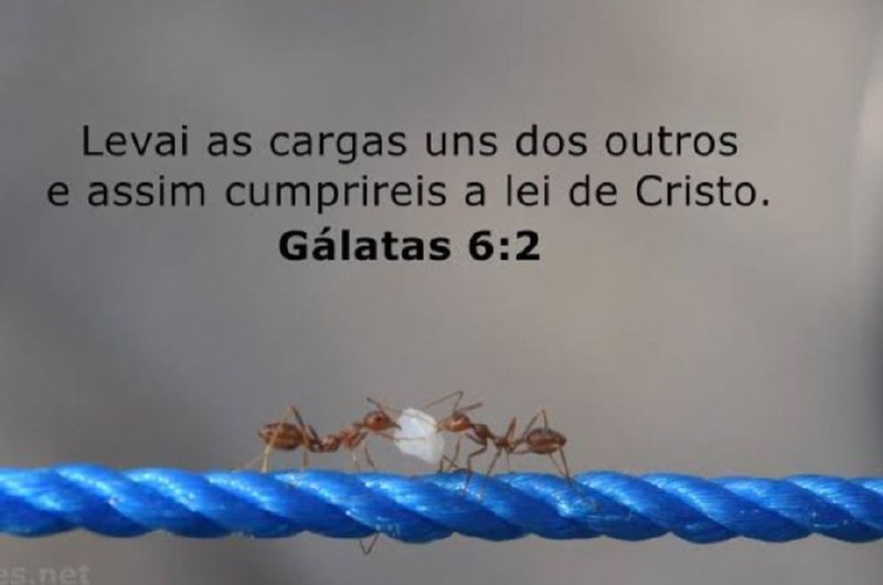 Como podemos cumprir a lei de …