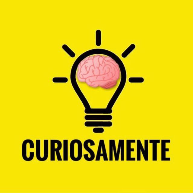 *****💡***CURIOSAMENTE***💡***