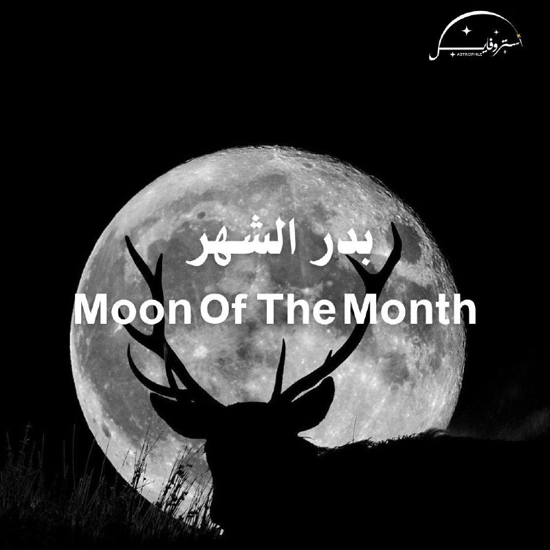 قمر الشهر | Moon of the …