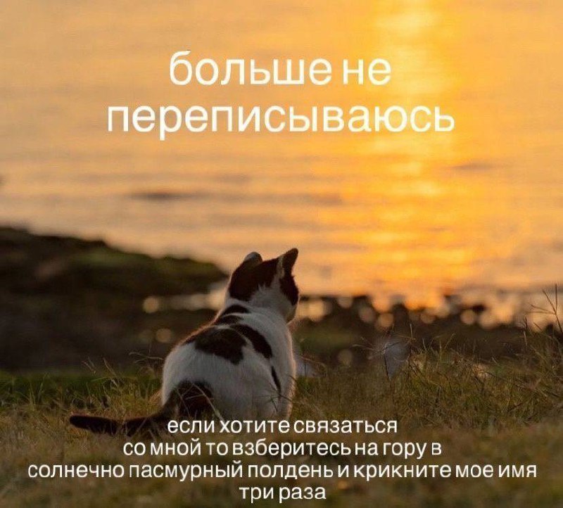 *те самые рыбы/12-домники в рандомный вторник*