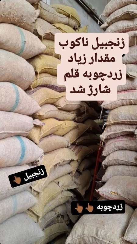زنجبیل ناکوب