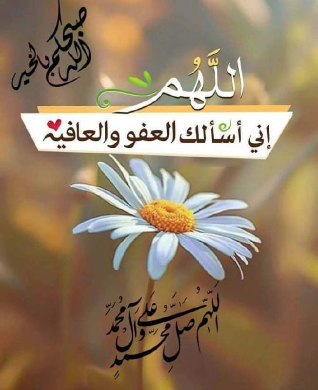 ‏‌ صباح\_الخير⁩