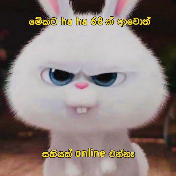 එන්නෑ අයෙ ලොවෙත් ***😁***