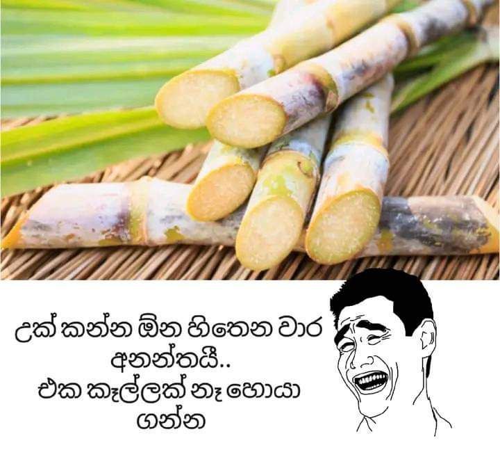 ආතල් වාඩිය 🛖😂 | මී.ප.ක Official …