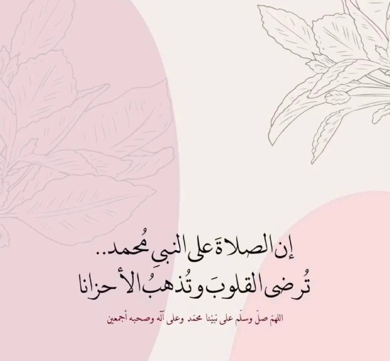 ؛
