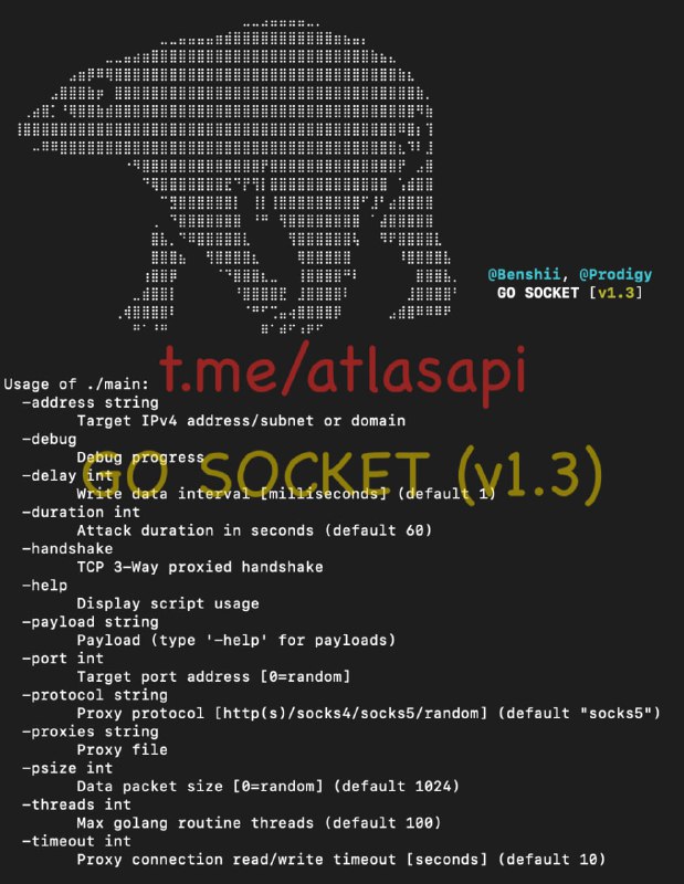 ***🚀*** **GO SOCKET** (1.3)*****🚀*****