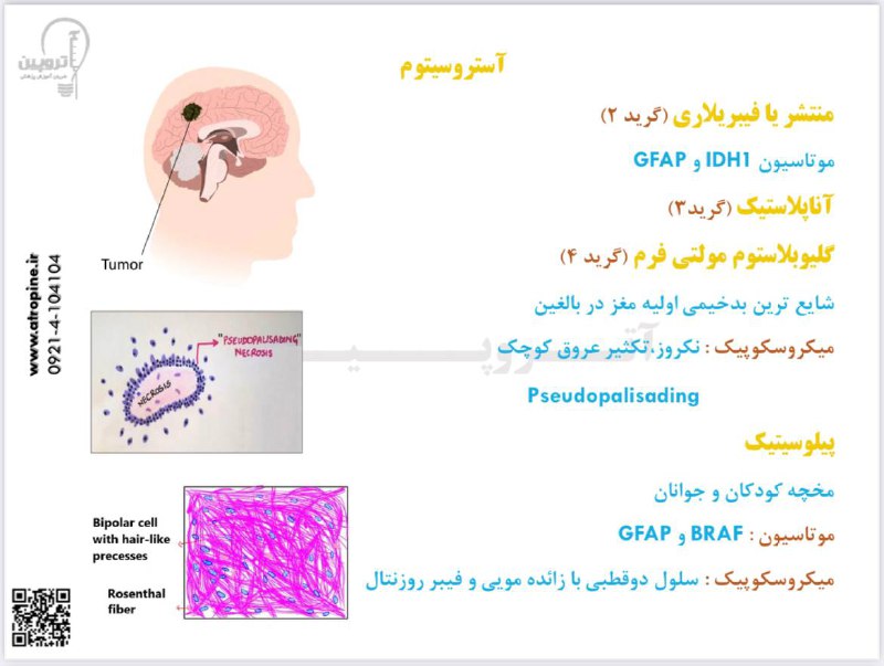***?*** **دسترسی به کارگاه مرور سریع …