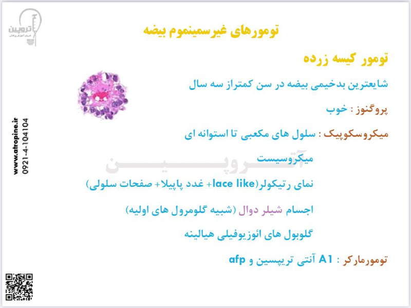 ***?*** **دسترسی به کارگاه مرور سریع …