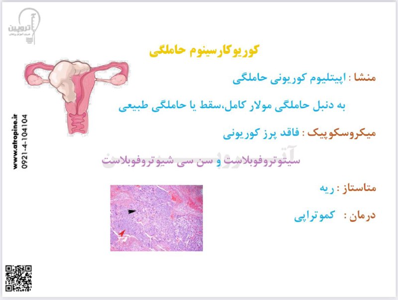 ***?*** **دسترسی به کارگاه مرور سریع …