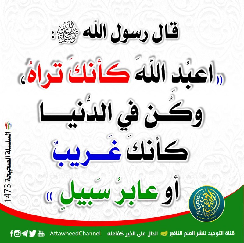 قناة التوحيد لنشر العلم النافع