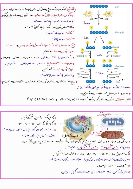 نمونه صفحه فایل بالا ***🔥***