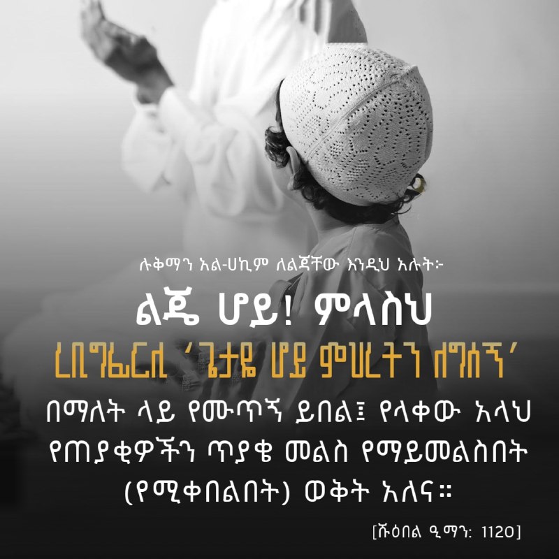 ረቢግፊርሊ!