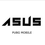 ASUS - ᕈUBGM